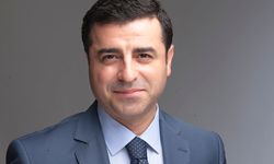 Demirtaş'tan Narin çağrısı: Karar bozulmalı