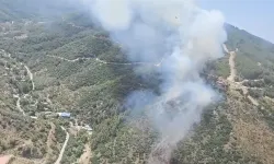 3 ilde çıkan orman yangınları kontrol altına alındı