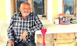 İzmir'de ayının saldırısına uğrayan kişi öldü
