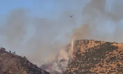 Denizli'de orman yangını