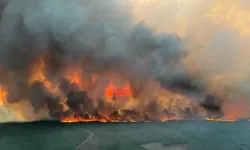 Fransa'da yıl başından bu yana yaklaşık 13 bin yangın çıktı
