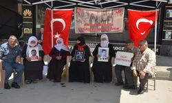 Muşlu anne PKK'lı oğluna seslendi: Gelin teslim olun yolunuz yol değil