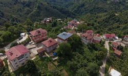 Ordu'nun 'Sarı' mahallesi: Herkesin soyadı aynı, resmi işler lakaplarla yürütülüyor