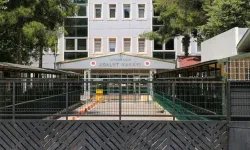 Narin Güran cinayeti davasının sanığı Bahtiyar'ın oğlu ve kardeşi hakkında hapis istemi