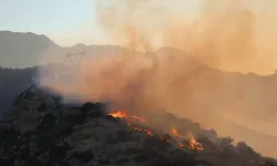 Girit Adası'nda orman yangınları başladı