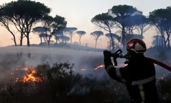 Fransa'nın Herault vilayetinde çıkan yangında yaklaşık 900 hektarlık alan küle döndü