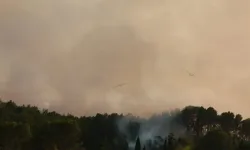Fransa'nın güneybatısındaki vilayetlerde yangınlar nedeniyle hava kalitesi alarm seviyesinde