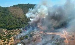 Fethiye'de çıkan orman yangınına havadan ve karadan müdahale ediliyor