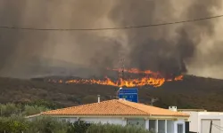 İspanya, başkent Madrid çevresindeki orman yangınları nedeniyle "acil durum" ilan etti