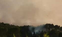 Fransa'nın güneybatısındaki yangınlarda 3 günde 140 binden fazla kişi tahliye edildi