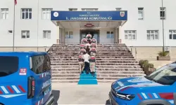 Nitelikli dolandırıcılık ve yasa dışı bahis operasyonlarında 100 şüpheli tutuklandı