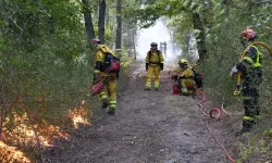 Fransa'da Fontainebleau Ormanı'nın yüzde 10'u küle döndü