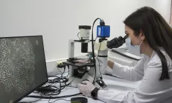 Dişten elde edilen kök hücreler "çikolata kisti" için umut verdi