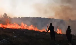 Yunanistan'da çöl sıcakları orman yangınlarını artırdı