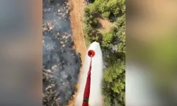 Antalya'da orman alanı dışındaki arazide çıkan yangına müdahale ediliyor
