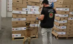 Kapıkule Gümrük Kapısı'nda 1,2 ton uyuşturucu ele geçirildi