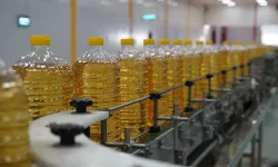 Yağlık ayçiçeği tohumu ve ham ayçiçeği yağı ithalatında tarife kontenjanıyla üretim artışı hedefleniyor