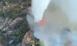 Muğla'da ormanlık alanda çıkan yangına müdahale ediliyor