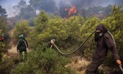 Cezayir'de orman yangınları nedeniyle bir hastane ile bazı yerleşim bölgeleri tahliye edildi