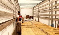 24 ildeki uyuşturucu operasyonlarında 80 kişi tutuklandı