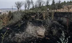 Ankara'da 2 ayda otluk ve ekili alanlarda 2 bin 242 yangın!