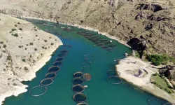 Fırat Havzası'ndaki kadın ve genç üreticilerin pazara erişimi kolaylaşıyor