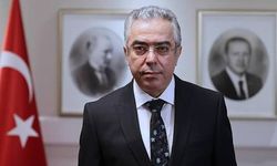 Cumhurbaşkanı Başdanışmanı Mehmet Uçum: TBMM tarihsel sorumluluğu yerine getiriyor