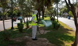 Yunan uzman, Batı Nil virüsü vakalarının en çok ağustos sonunda görüldüğünü söyledi