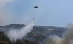 Orman yangınlarına ilişkin soruşturmalarda 69 şüpheliden 15'i tutuklandı