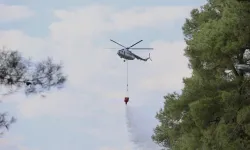 Muğla'da çıkan orman yangınına müdahale ediliyor