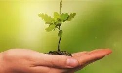 Eğitim yapılarında "yeşil dönüşüm" dönemi başlıyor