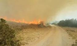 Hırvatistan'ın Omis kentinde çıkan orman yangını rüzgarın etkisiyle yerleşim yerlerine yayıldı