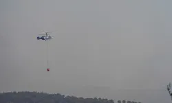 Edremit'te çıkan orman yangınına müdahale ediliyor