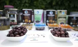 Marmarabirlik ihracatta rotayı Orta Doğu'ya çevirdi