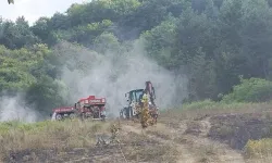 Bursa'da çıkan orman yangınına müdahale ediliyor