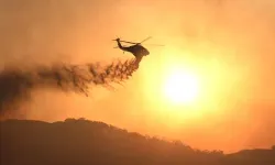 ABD'nin Utah eyaletinde orman yangınına müdahale eden helikopter düştü
