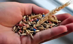 Türk tohumculuğu Asya ile Avrupa arasında büyüyor