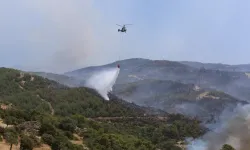 Aydın'ın Çine ilçesindeki orman yangınına ilişkin 2 şüpheli gözaltına alındı