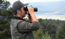 Doğu Anadolu'da 655 bin hektarlık ormanda "alev nöbeti"