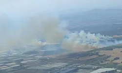 Bursa'da çıkan orman yangınına müdahale ediliyor