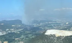 Bilecik'te çıkan orman yangınına müdahale ediliyor