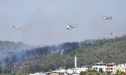Muğla'da açık alan yangınlarının yaklaşık yüzde 70'i insan kaynaklı