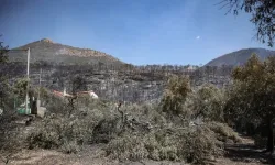 Yunanistan'da son dönemdeki yangınlarda 118 bina kullanılamaz hale geldi