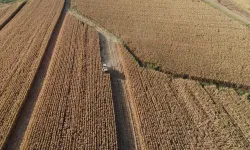 TARSİM sisteminde 1,1 trilyon liralık tarımsal varlık sigortalandı