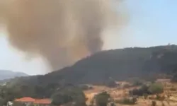 Kaş'ta çıkan orman yangınına müdahale ediliyor