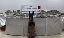 Samsun'da bir tırda 132 kilogram uyuşturucu ele geçirildi