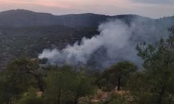 Gaziantep İslahiye'de orman yangını: Alevler söndürüldü