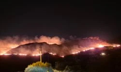 Bodrum’da yangın çıktı!