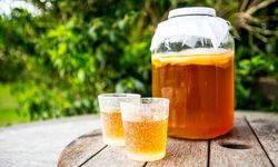 Kombucha Çayı Gerçekten Bir Mucize Mi, Yoksa Sadece Pazarlama Mı?