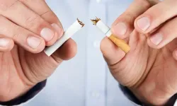 Tütün düzenlemesinde yeni dönem için dikkat çeken tablo